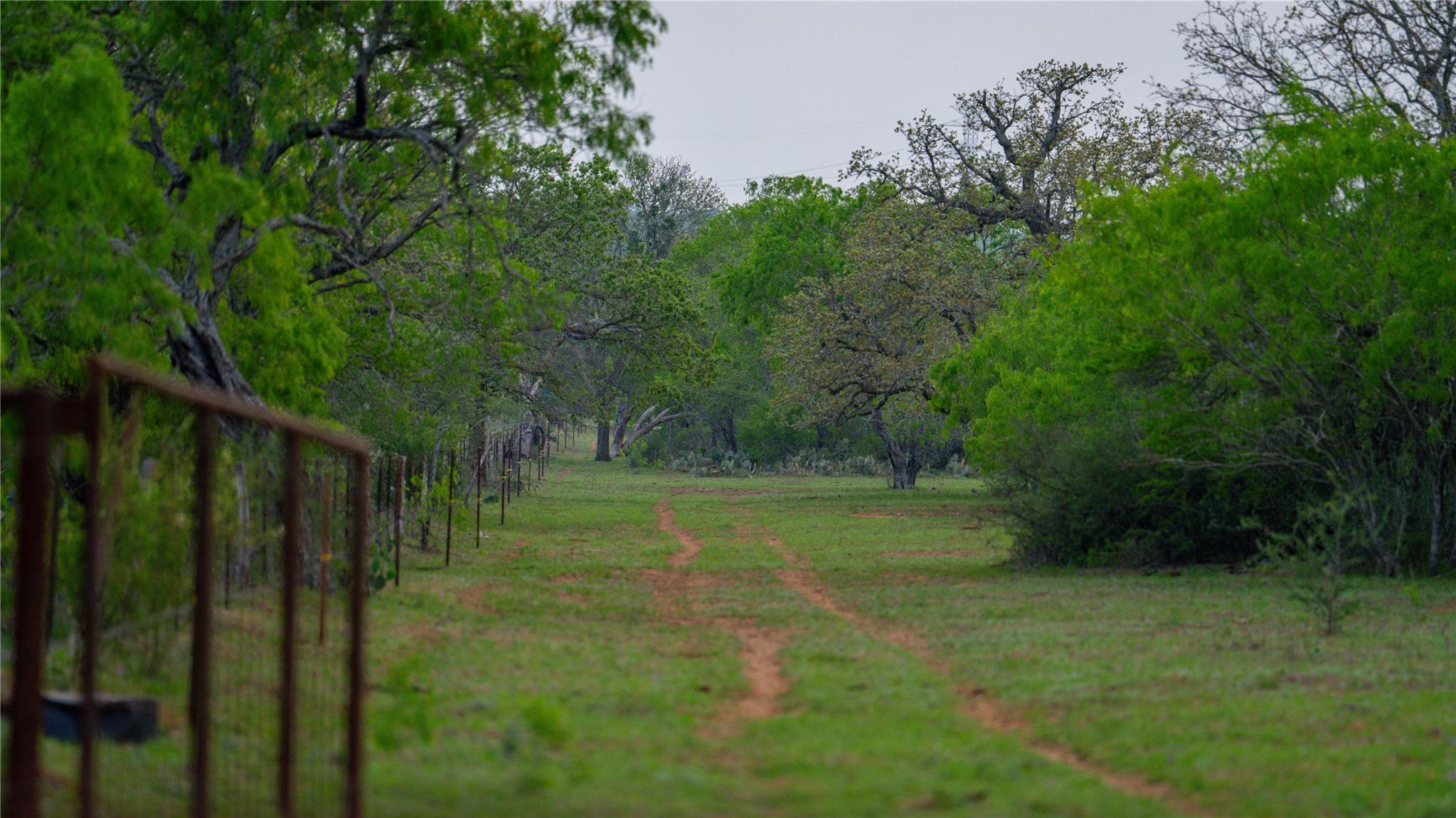 Image 6 of 34 For Tbd County Road 404