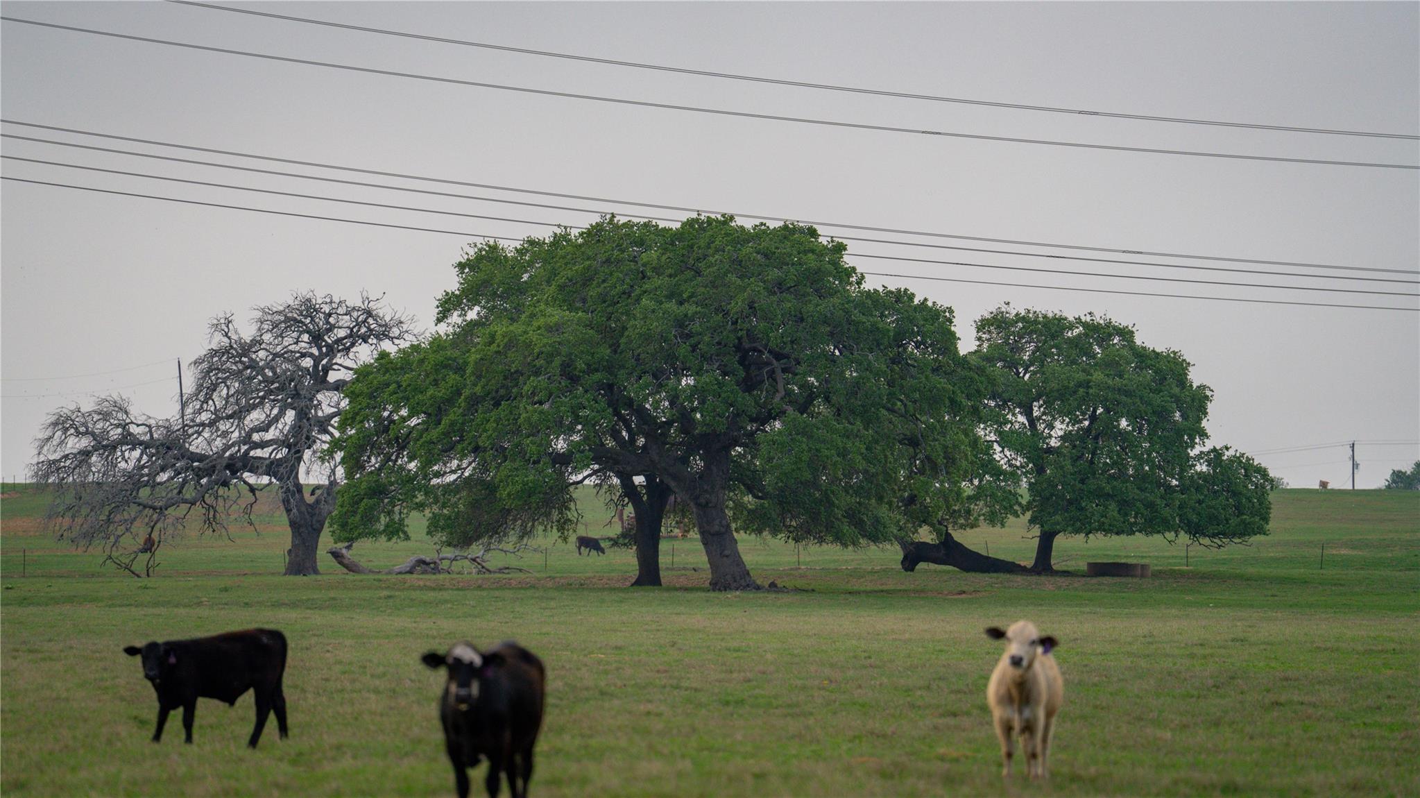 Image 9 of 34 For Tbd County Road 404
