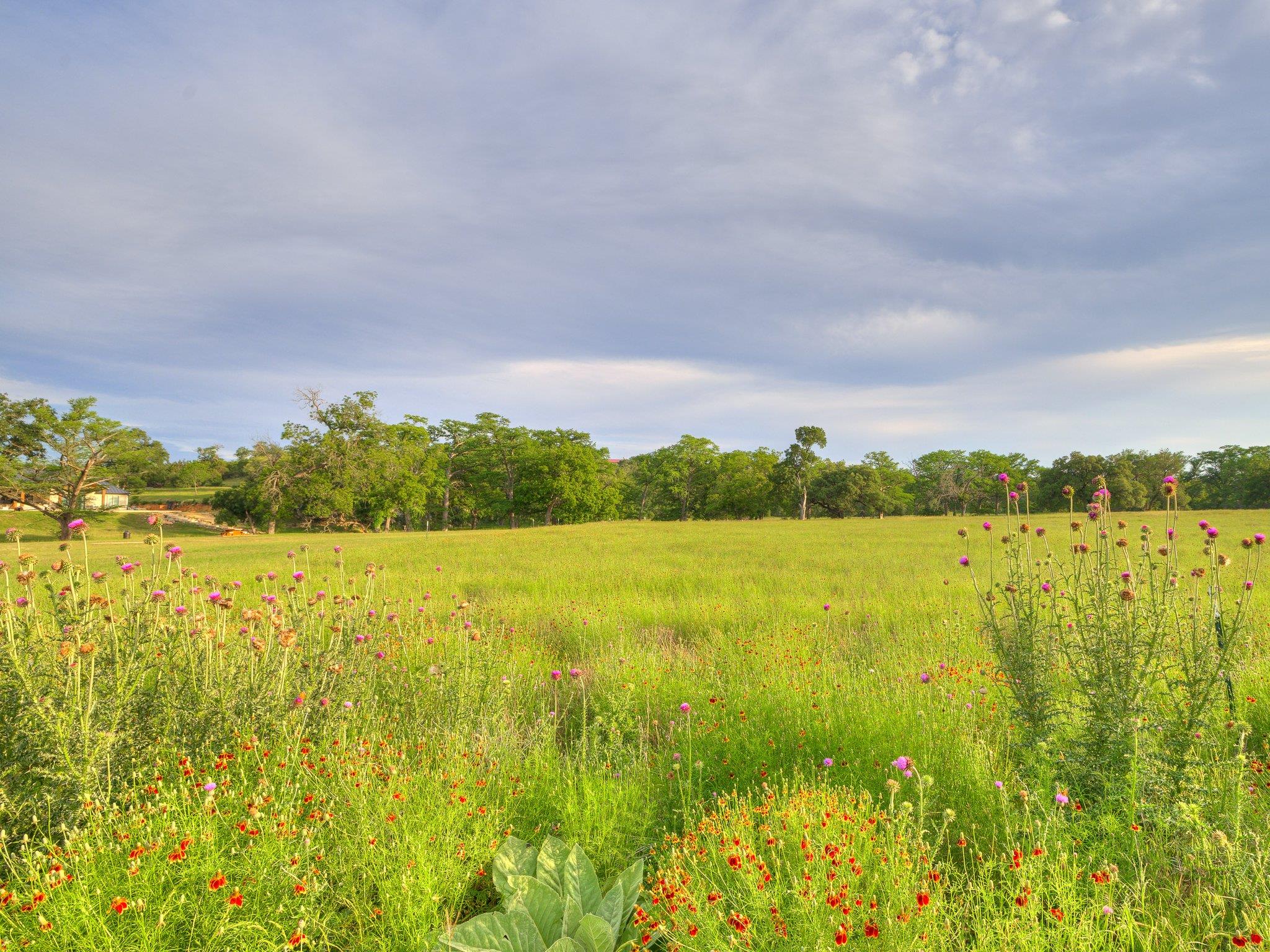 Image 14 of 35 For Lot 7 Wainright Spgs