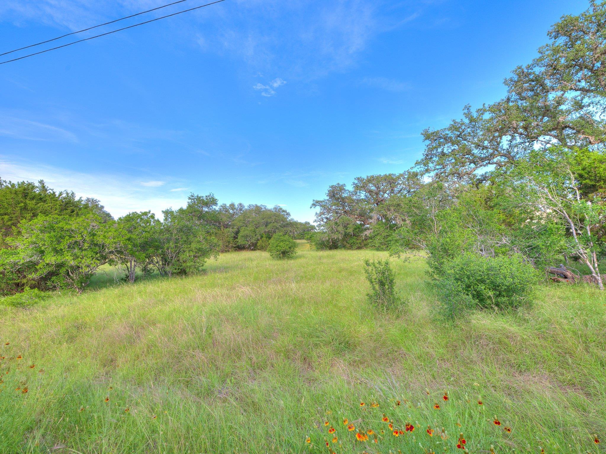 Image 6 of 35 For Lot 7 Wainright Spgs