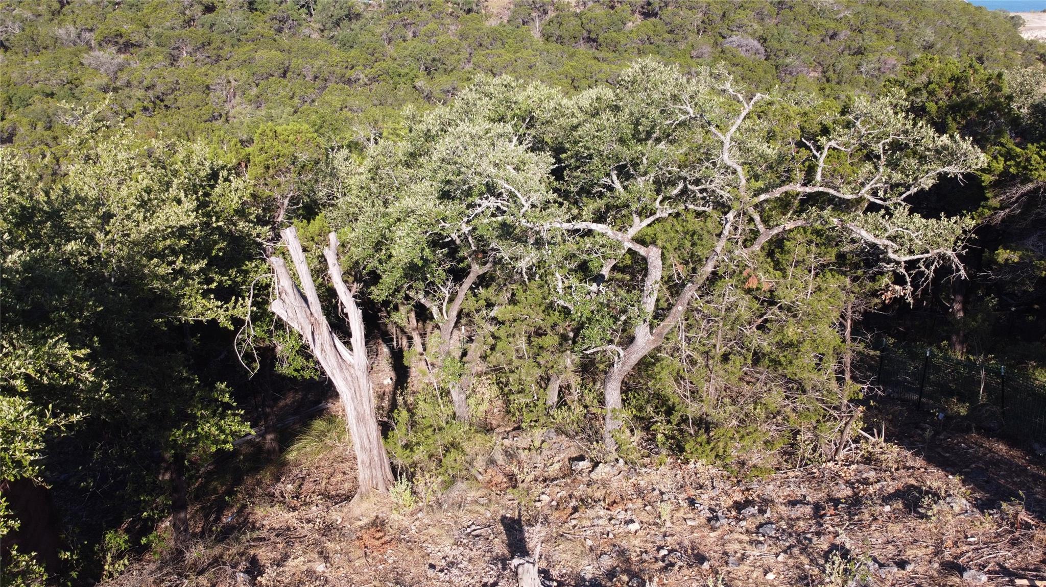 Image 4 of 8 For 1525 Arrowhead Dr