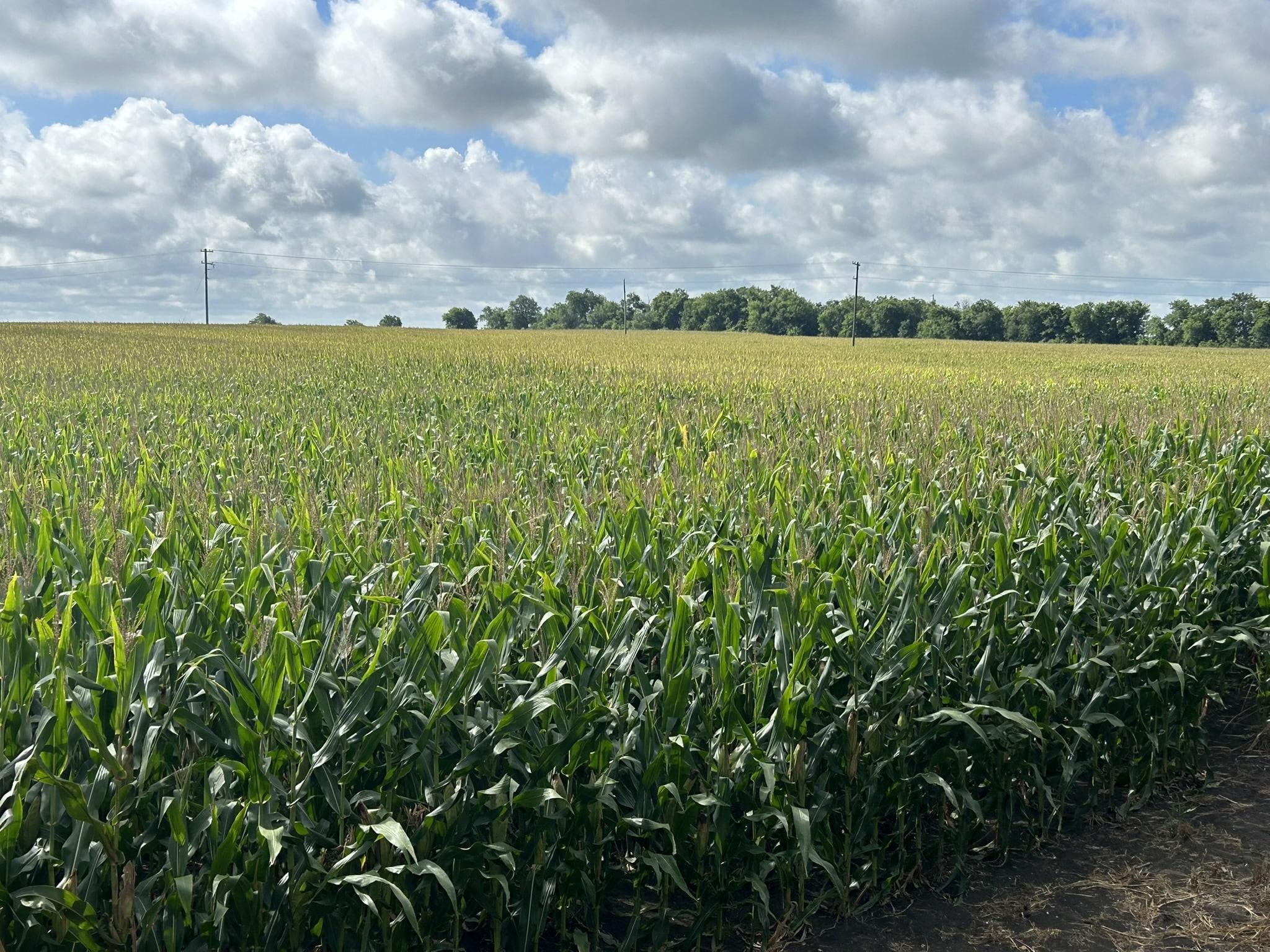 Details for Tbd2 Apple Cider Rd, Temple, TX 76501