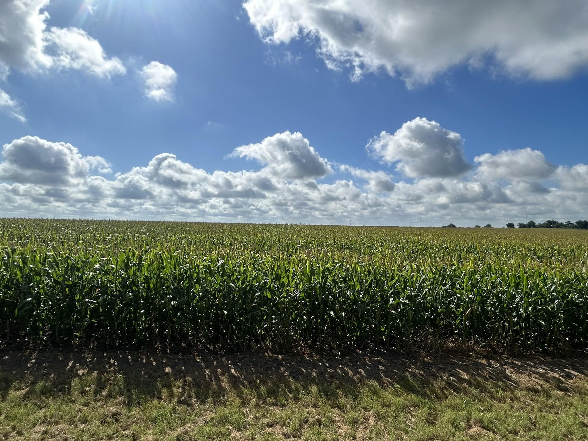 Image 13 of 17 For Tbd2 Apple Cider Rd