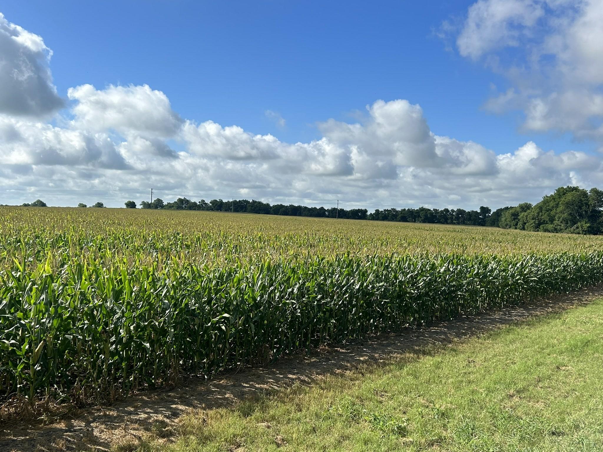 Image 14 of 17 For Tbd2 Apple Cider Rd