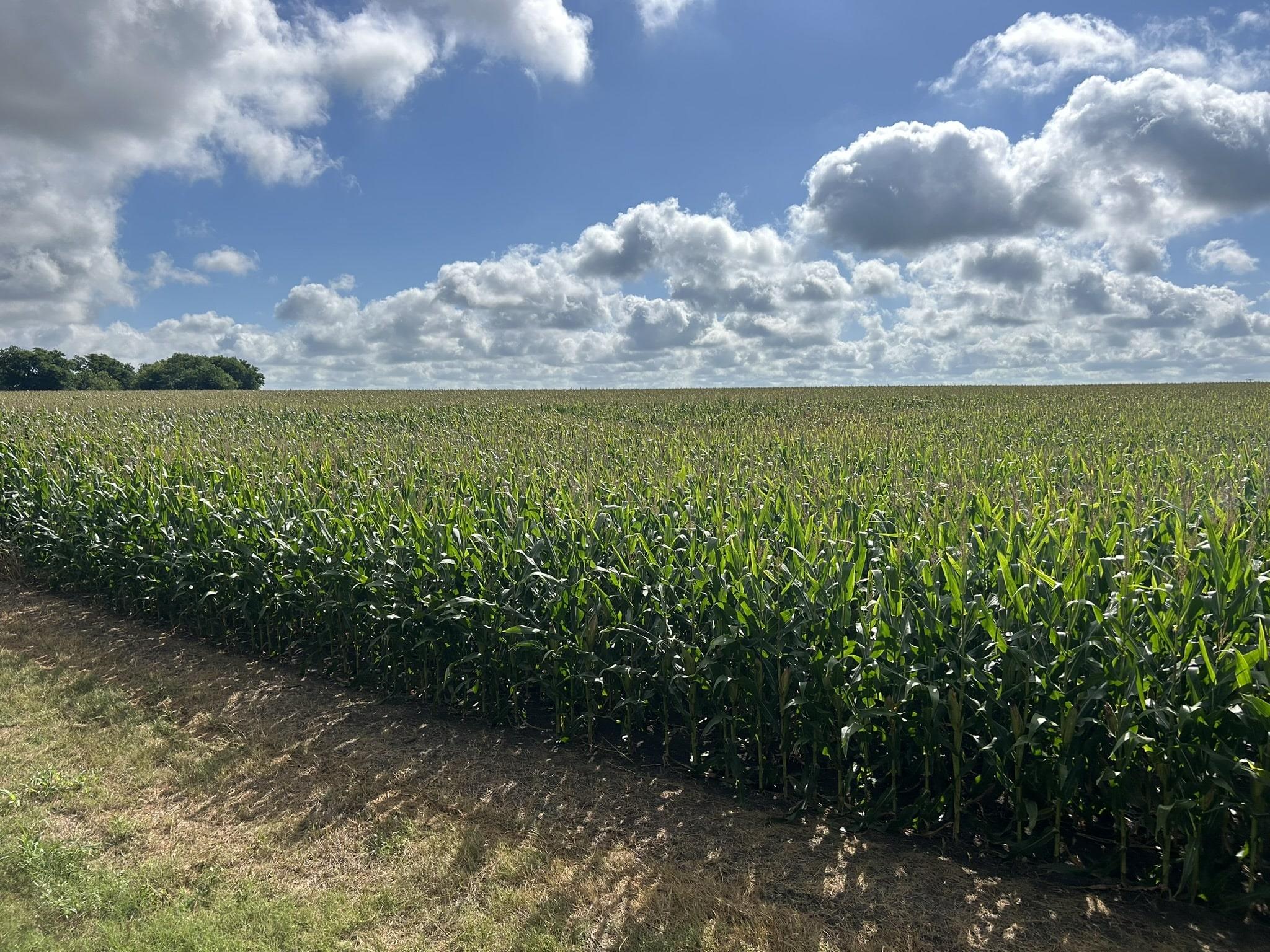 Image 15 of 17 For Tbd2 Apple Cider Rd