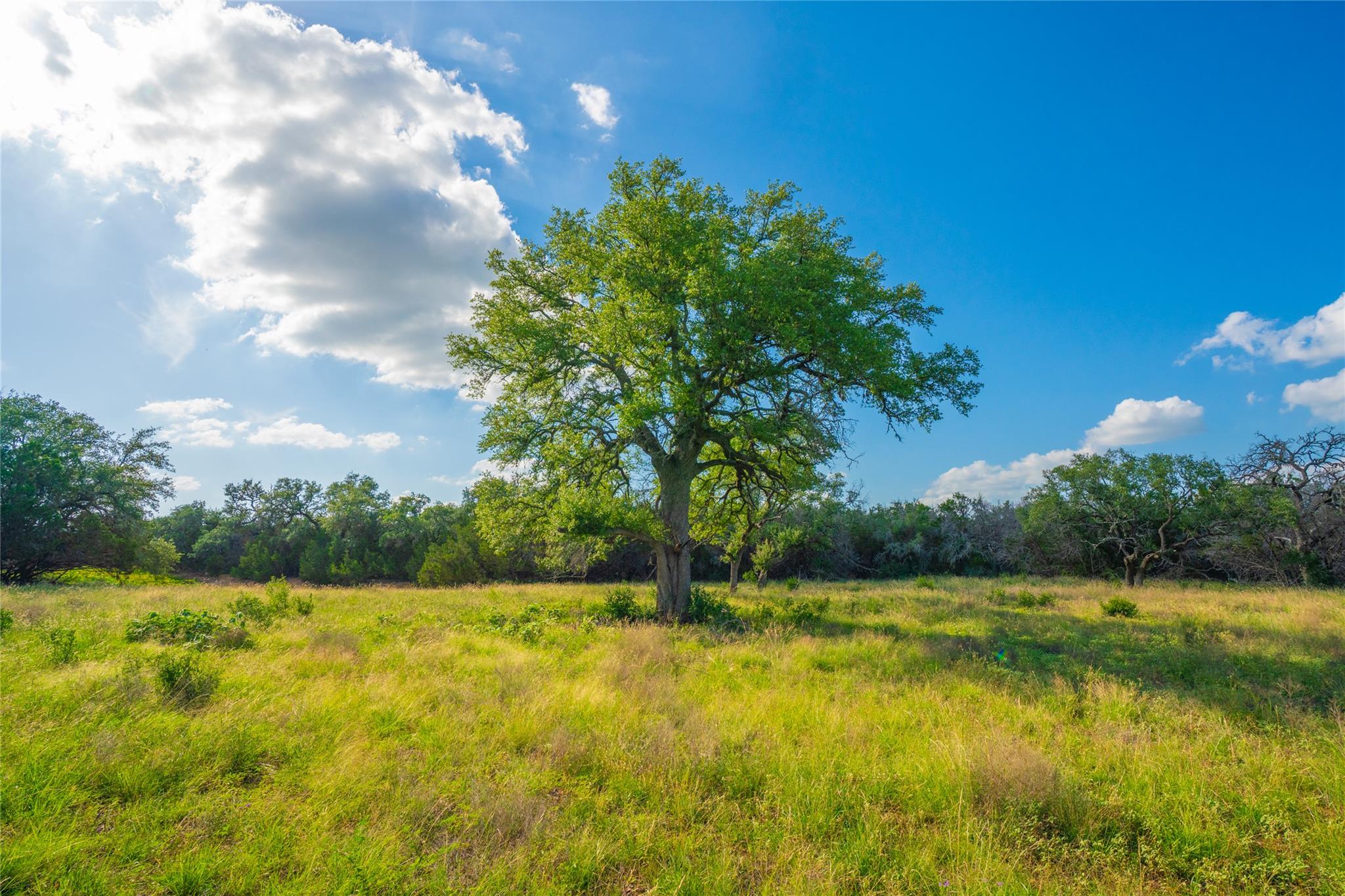 Details for 000 Heritage Hollow Rnch, Johnson City, TX 78636