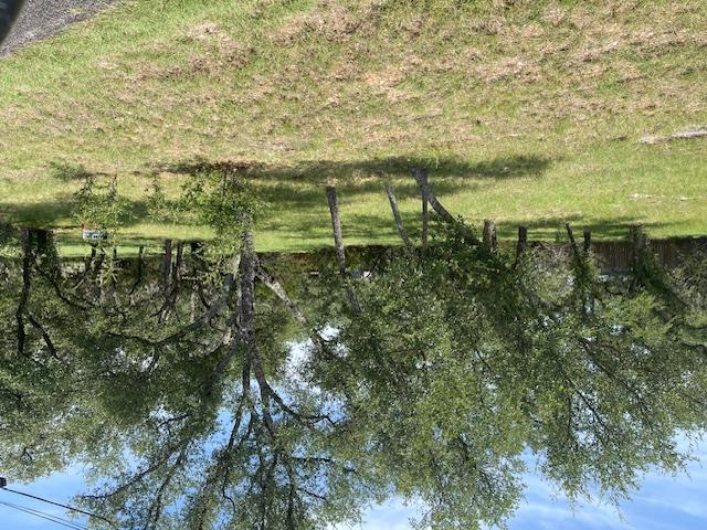 Details for 105 Brianna Cir, Johnson City, TX 78636