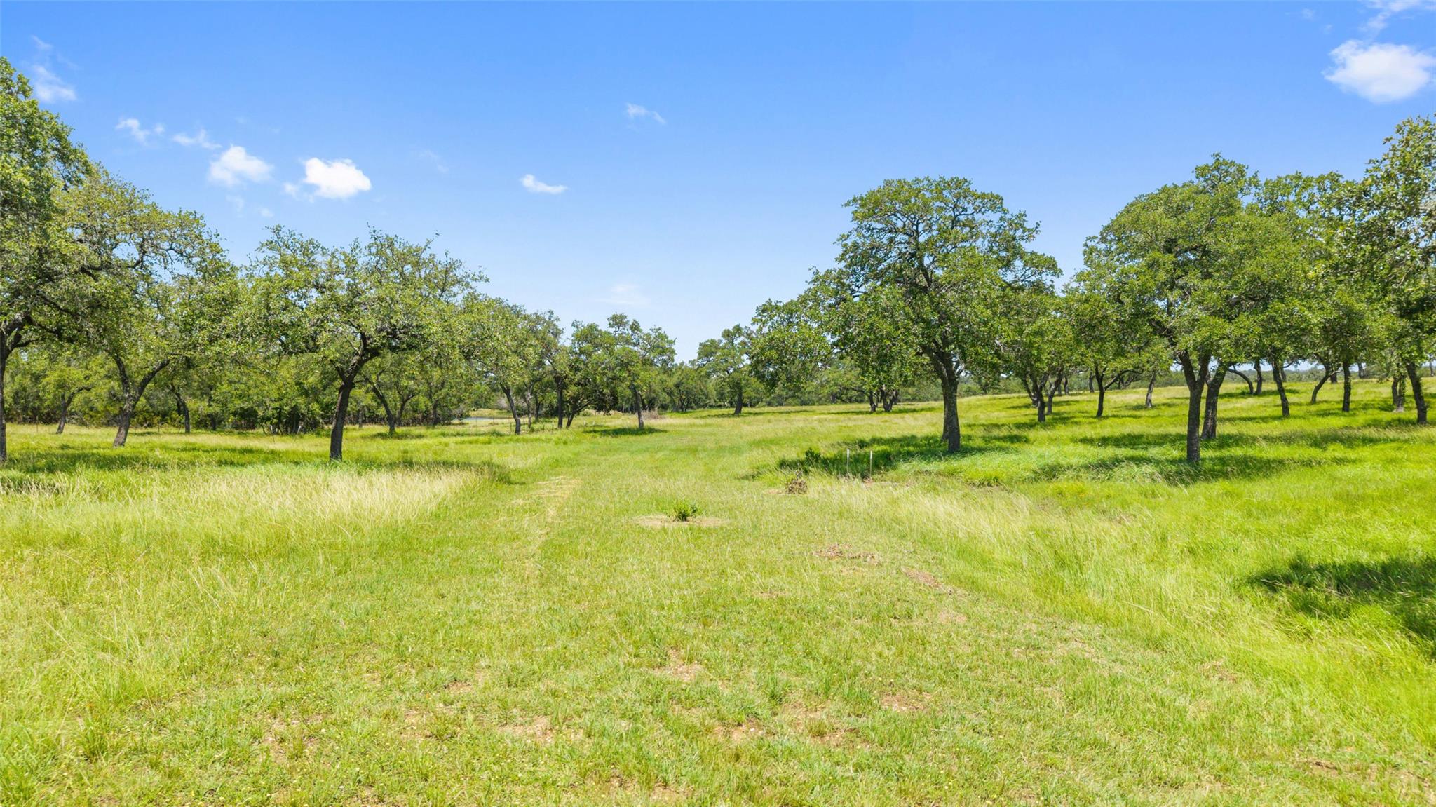 Image 36 of 39 For 5059 Trainer Wuest Rd