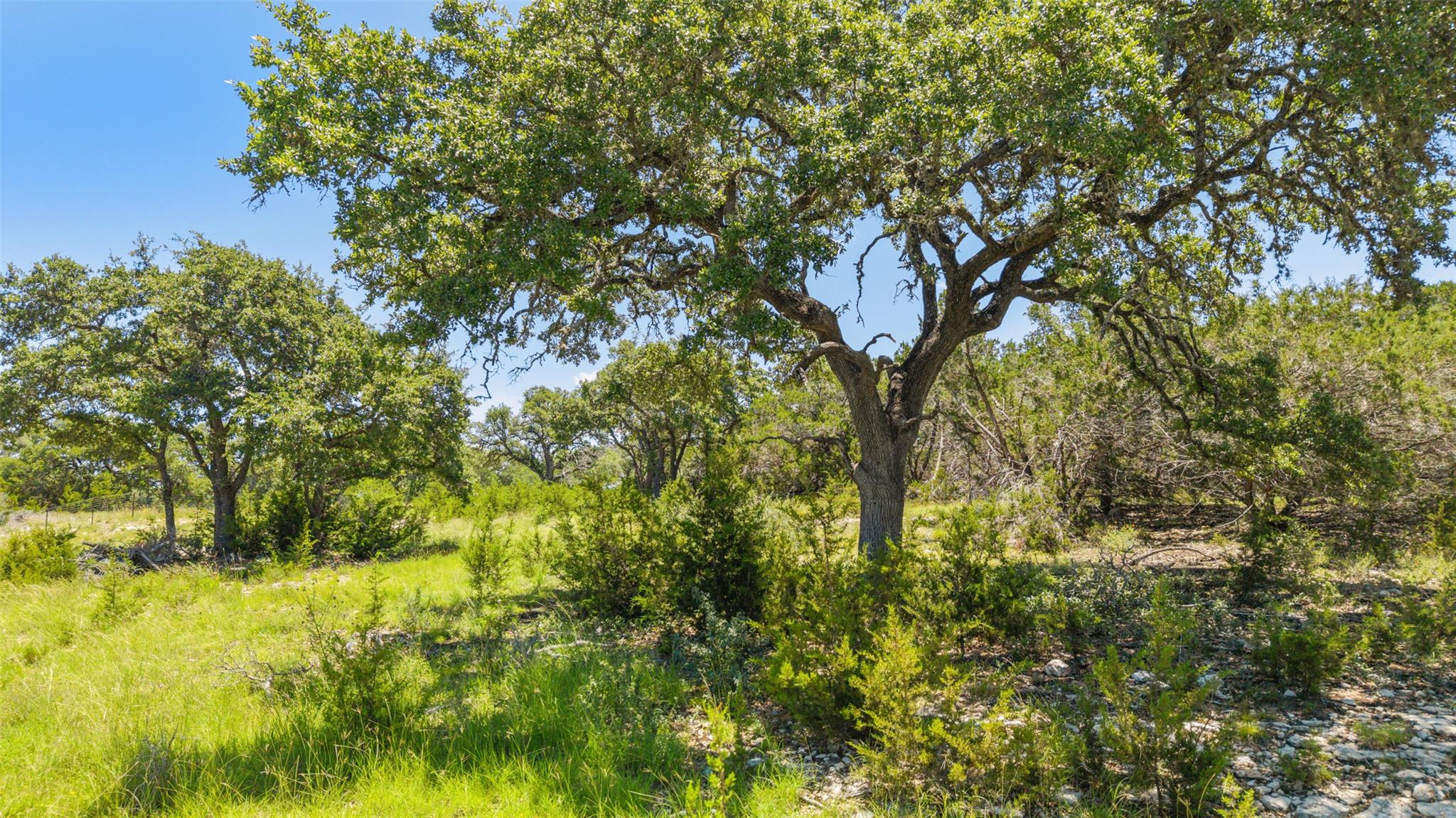 Image 10 of 20 For 938 Lindeman Lane Tract 3