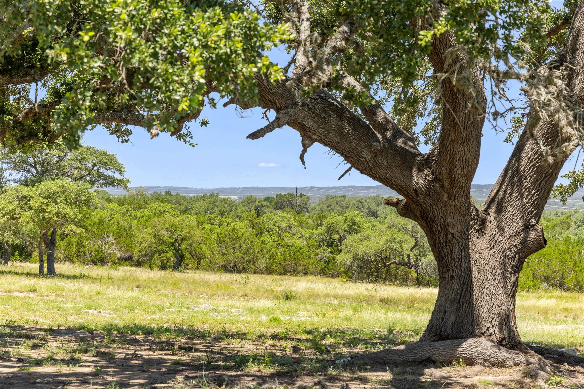 Image 15 of 20 For 938 Lindeman Lane Tract 3