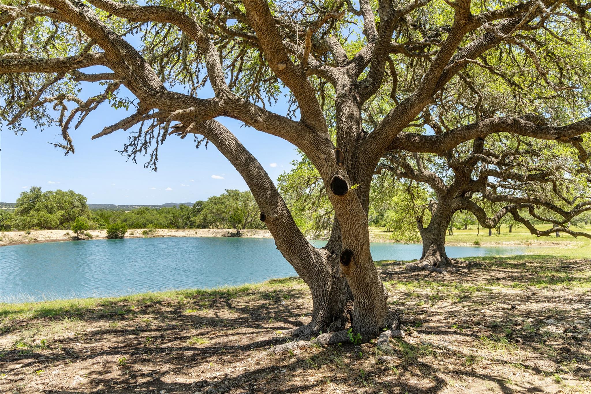 Image 17 of 20 For 938 Lindeman Lane Tract 3
