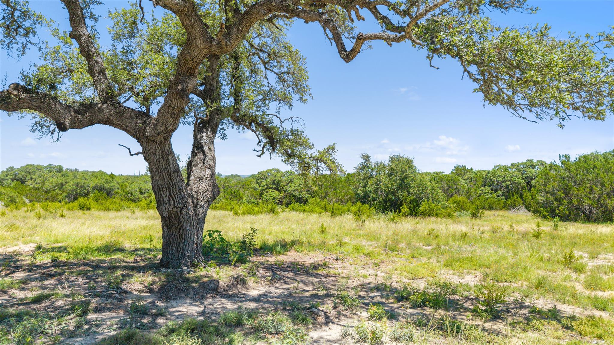 Image 6 of 20 For 938 Lindeman Lane Tract 3