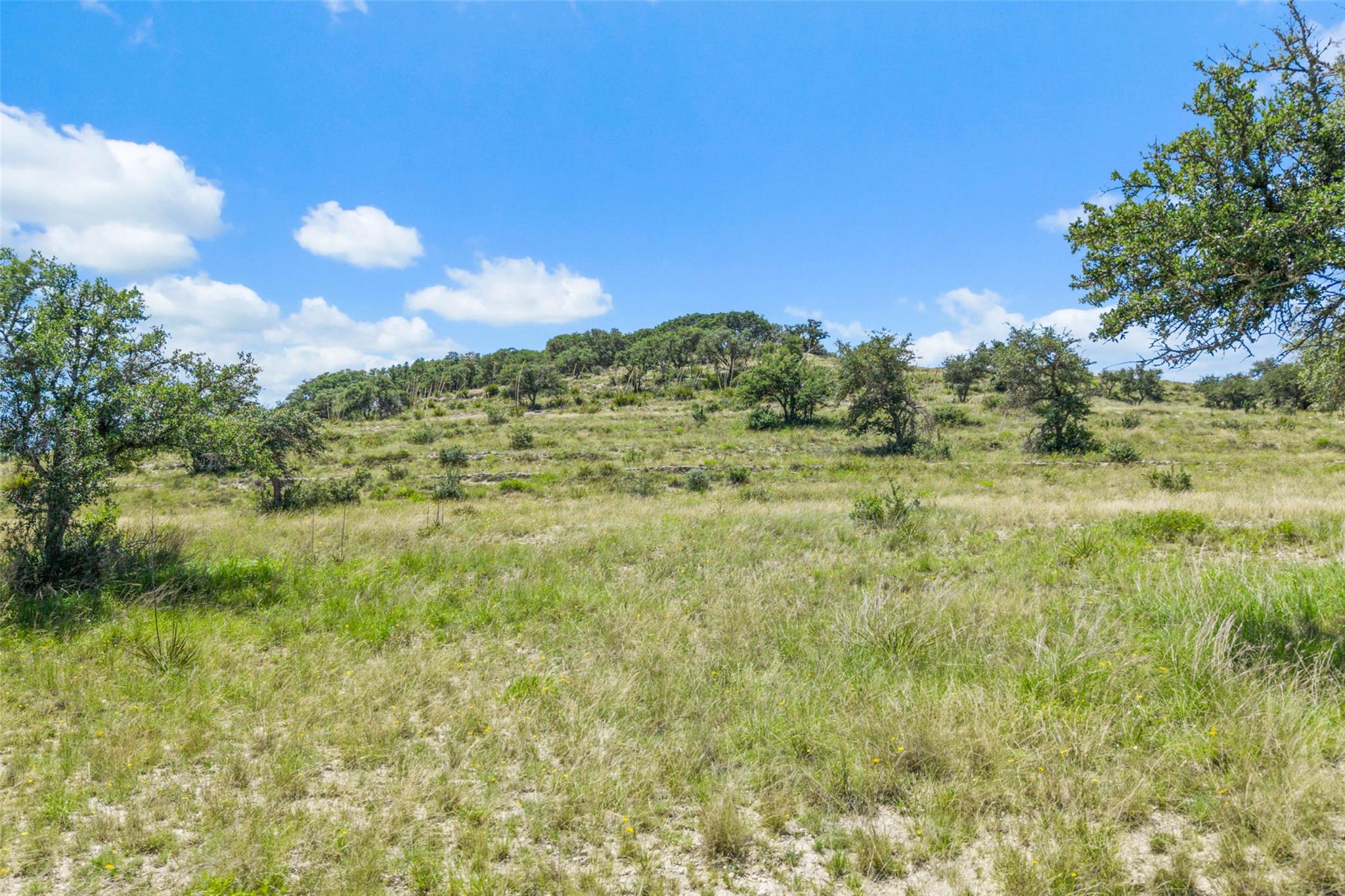 Image 5 of 40 For 5434 Kendalia Rd