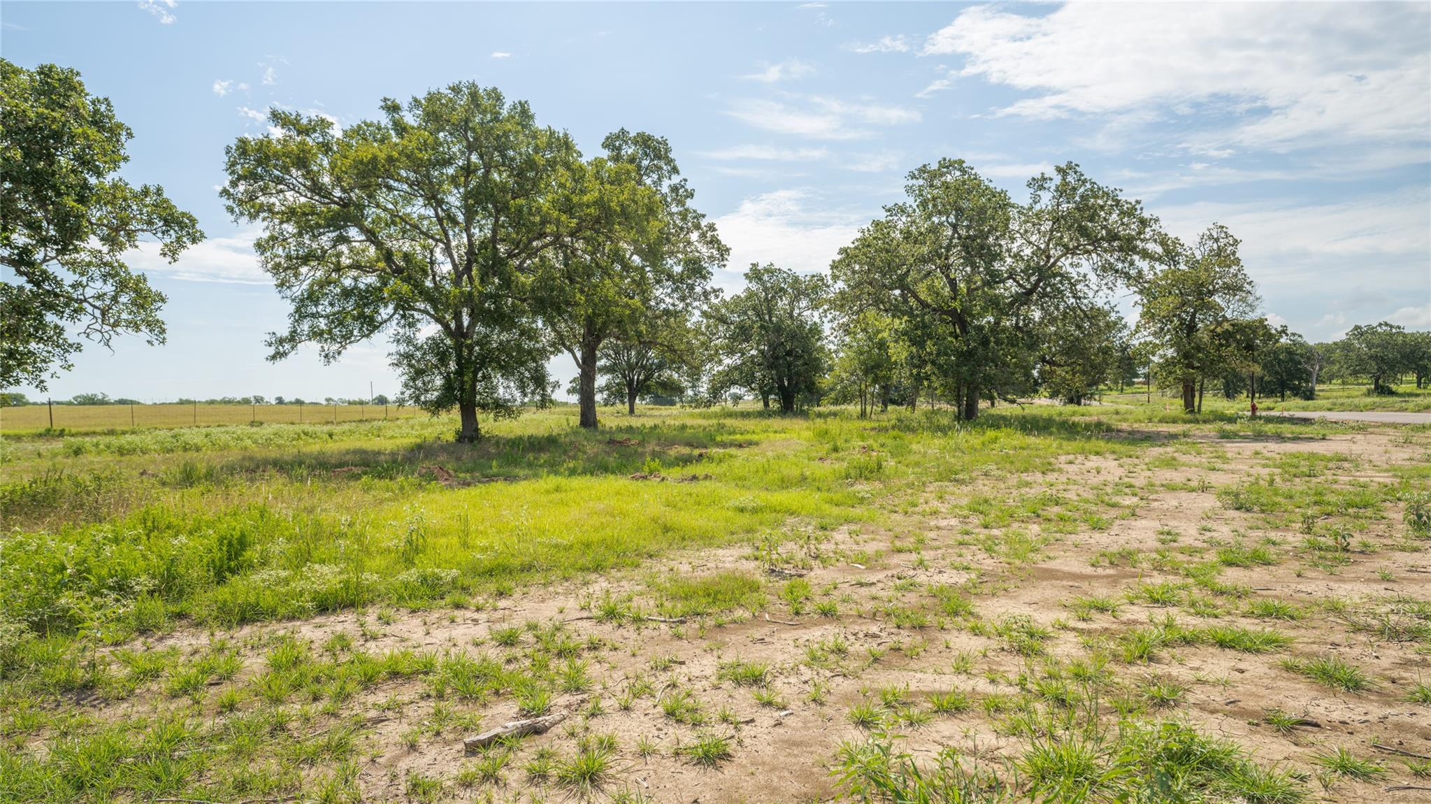 Details for 250 Furguson Loop, Dale, TX 78616