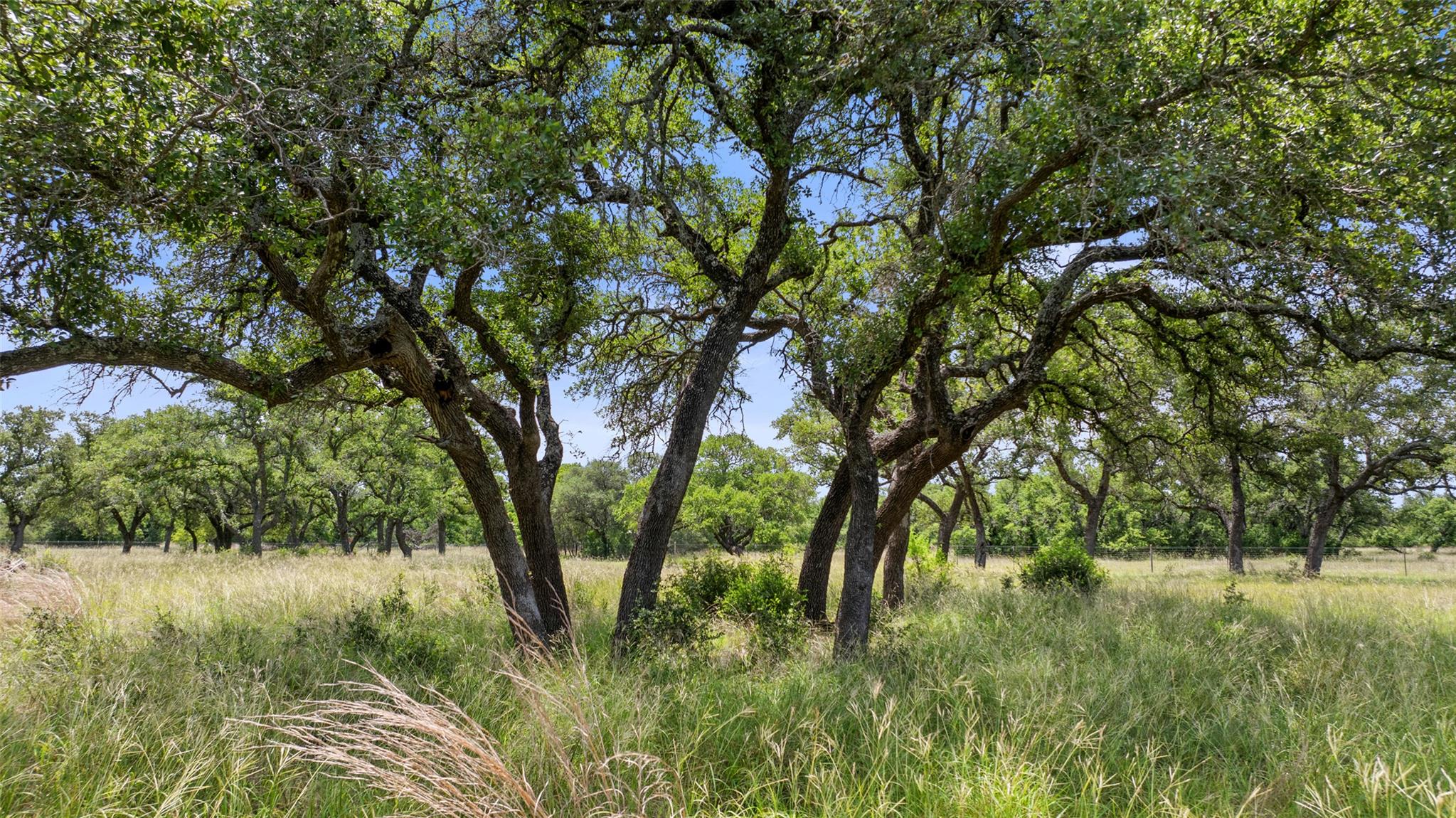 Image 4 of 11 For 997 Sandy Oaks Ranch Rd