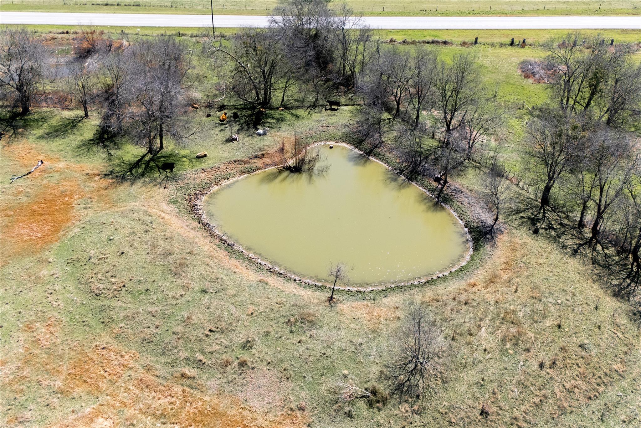 Image 20 of 31 For Lot 1 7th St