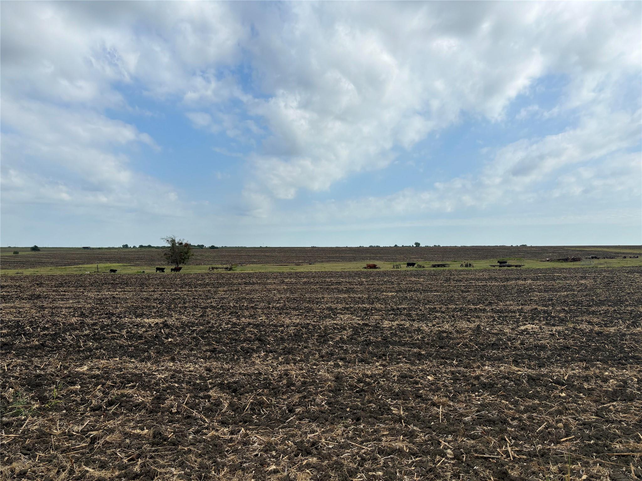 Image 18 of 19 For Tbd County Road 357