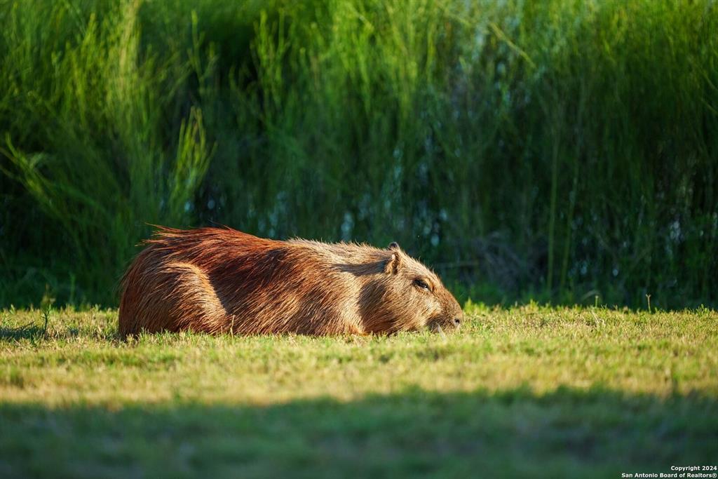 Image 27 of 35 For 6170 County Road 332
