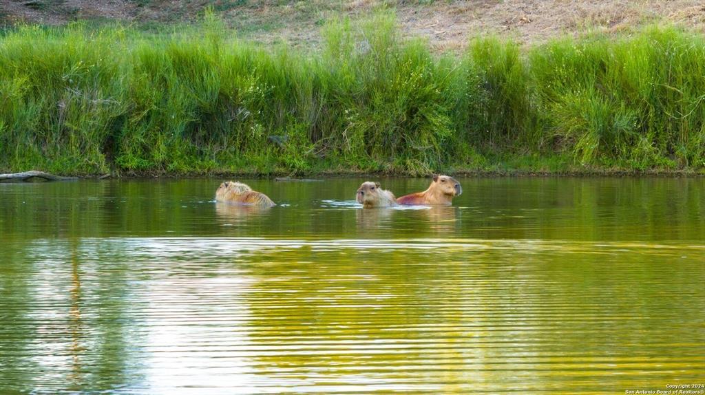 Image 29 of 35 For 6170 County Road 332