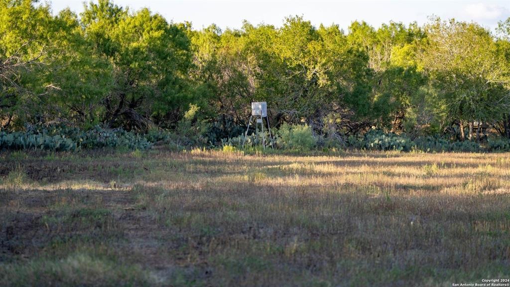 Image 30 of 35 For 6170 County Road 332