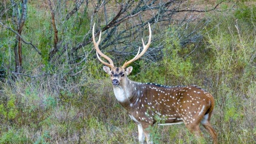 Image 31 of 35 For 6170 County Road 332