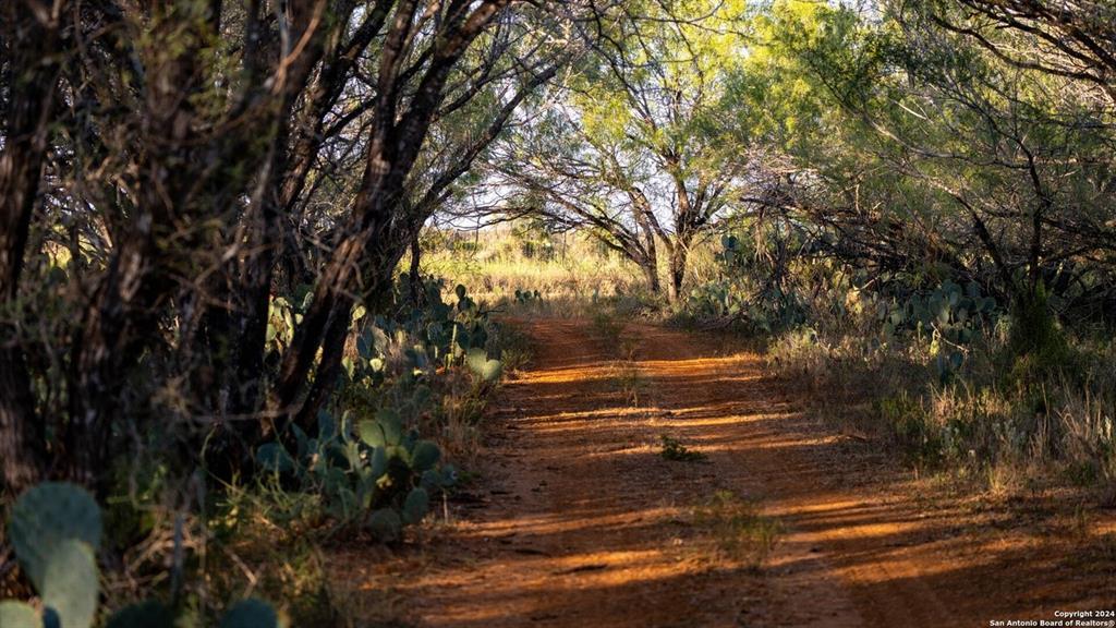 Image 32 of 35 For 6170 County Road 332