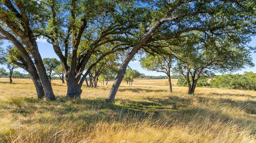 Image 12 of 34 For 2482 Ranch Road 2721