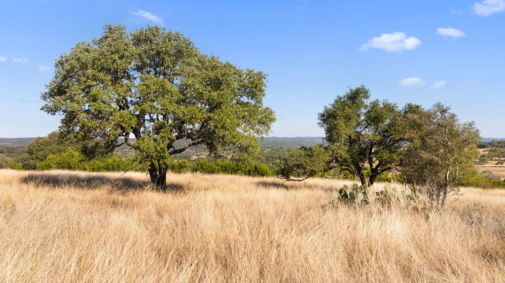 Image 21 of 34 For 2482 Ranch Road 2721