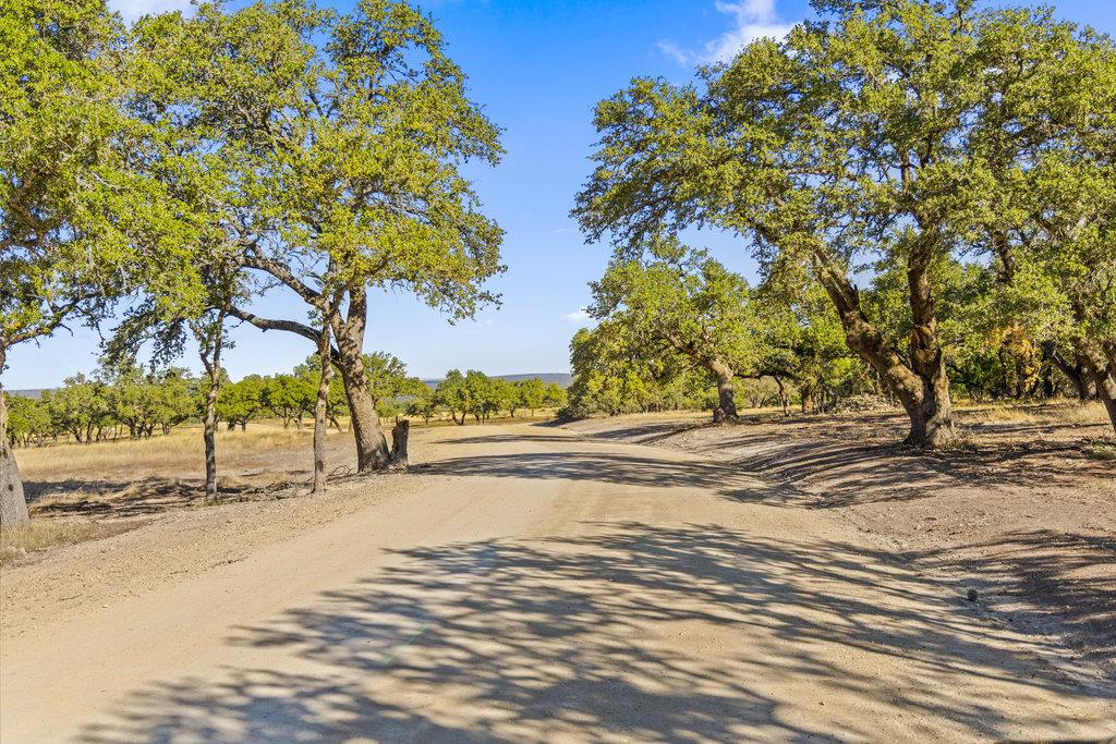 Image 25 of 34 For 2482 Ranch Road 2721