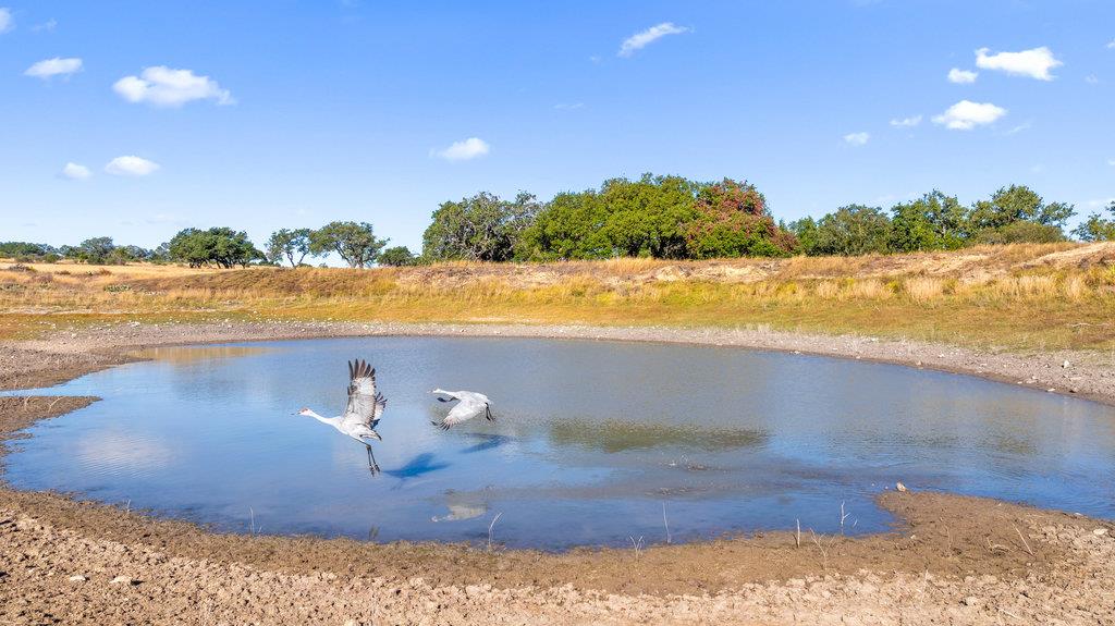 Image 3 of 34 For 2482 Ranch Road 2721