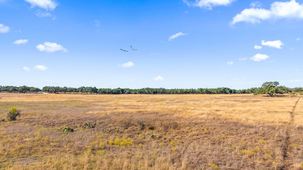 Image 4 of 34 For 2482 Ranch Road 2721