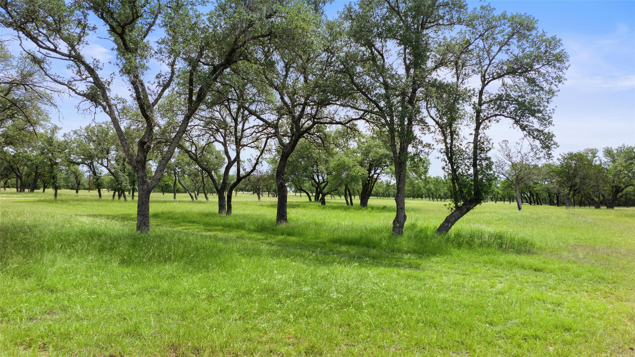 Image 13 of 36 For 1241 Sandy Oaks Ranch Rd