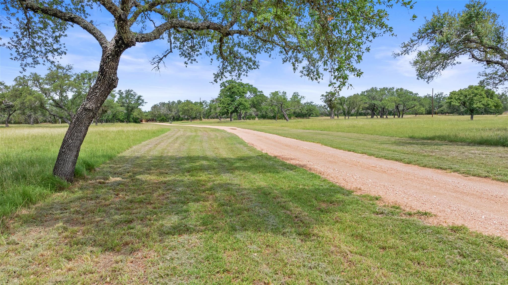 Image 15 of 36 For 1241 Sandy Oaks Ranch Rd