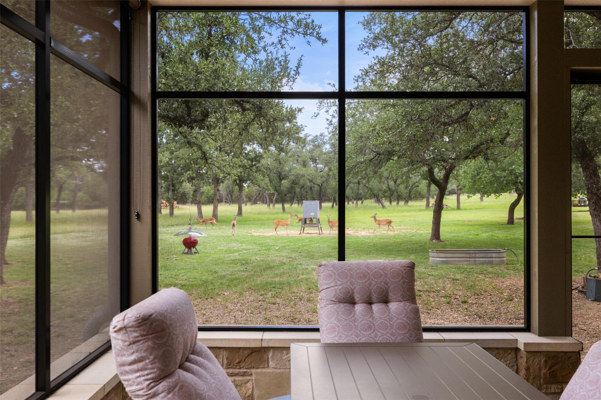 Image 18 of 36 For 1241 Sandy Oaks Ranch Rd