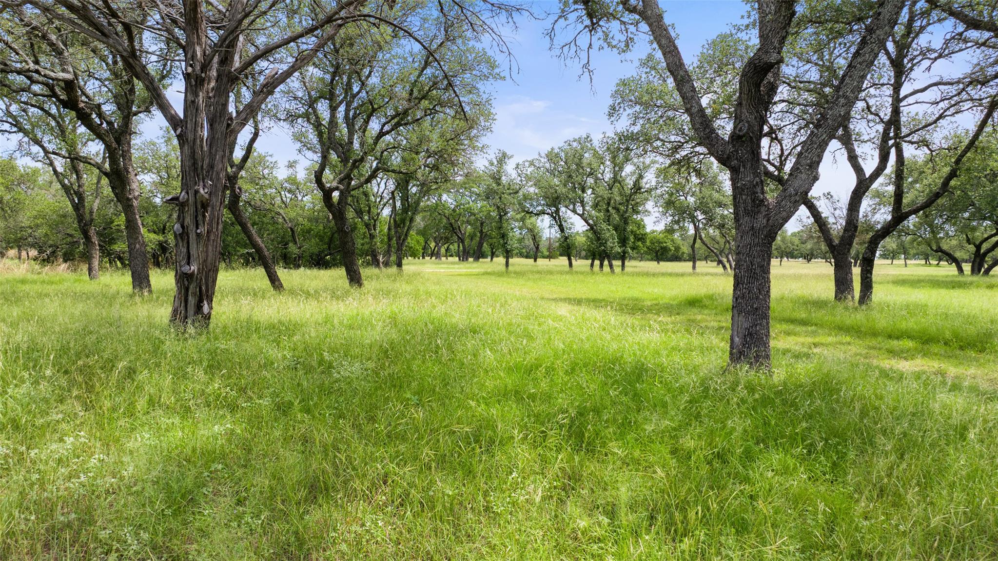 Image 19 of 36 For 1241 Sandy Oaks Ranch Rd