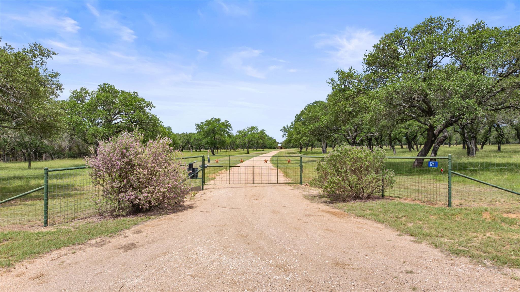 Image 21 of 36 For 1241 Sandy Oaks Ranch Rd