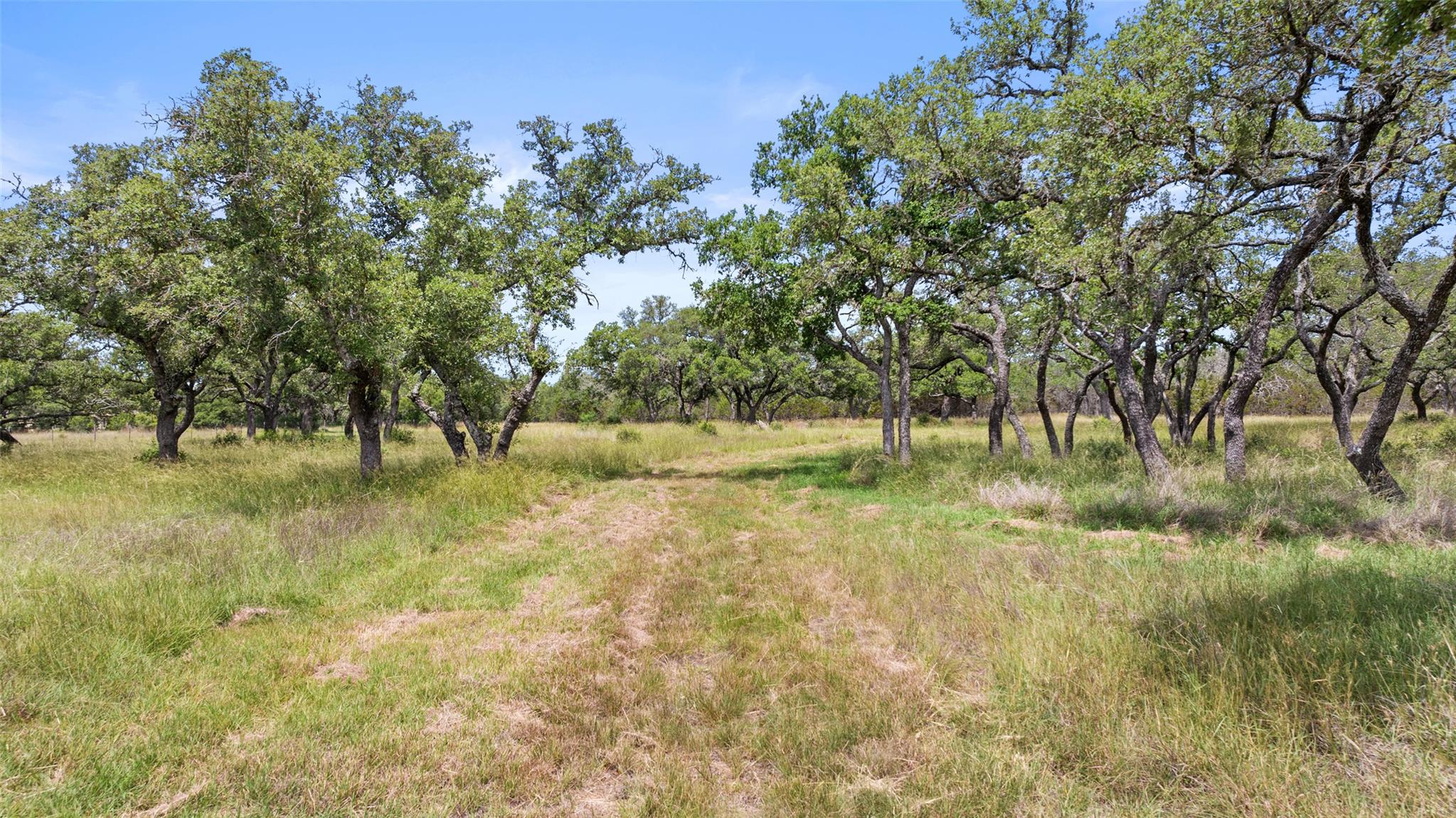 Image 23 of 36 For 1241 Sandy Oaks Ranch Rd