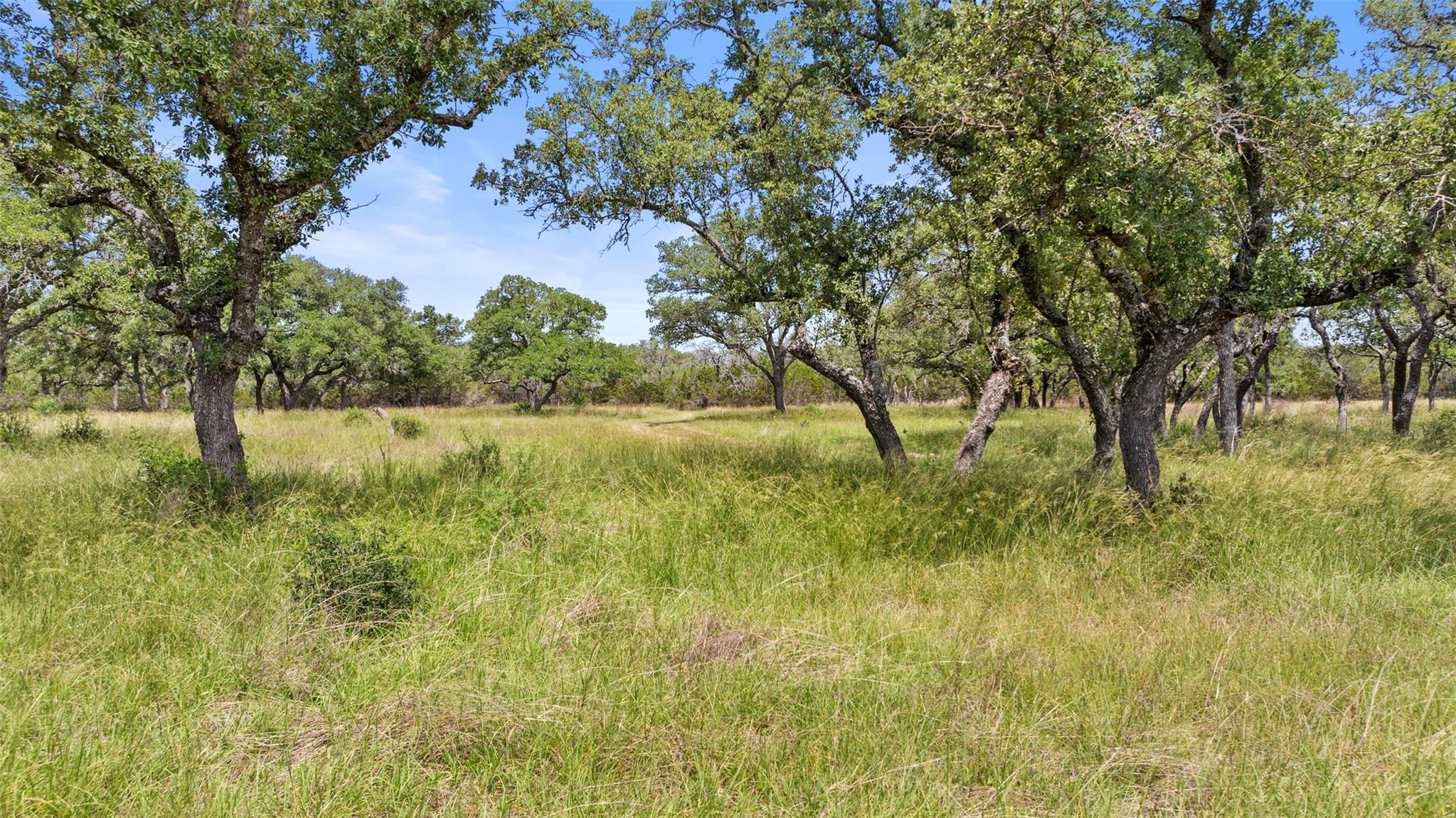 Image 25 of 36 For 1241 Sandy Oaks Ranch Rd