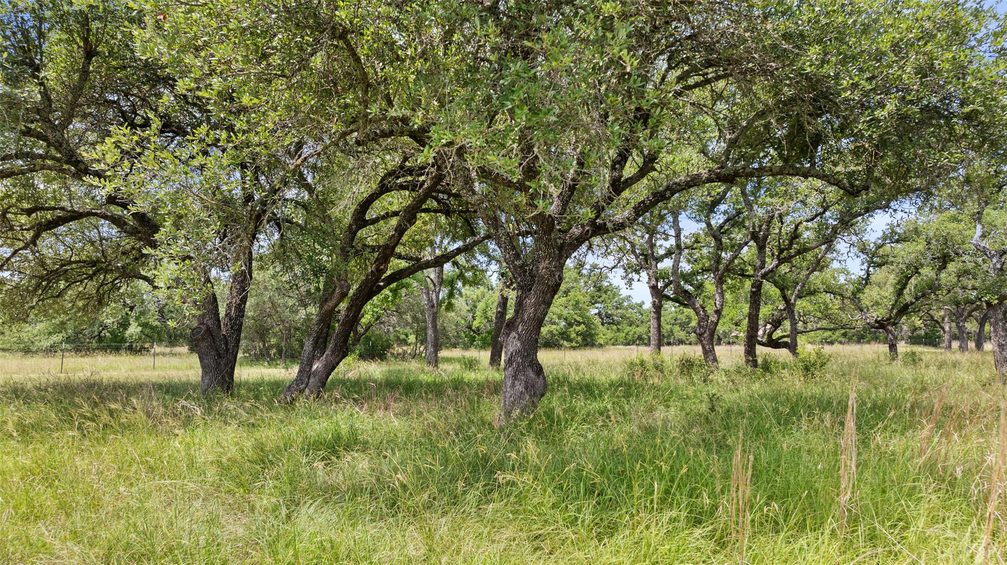 Image 33 of 36 For 1241 Sandy Oaks Ranch Rd