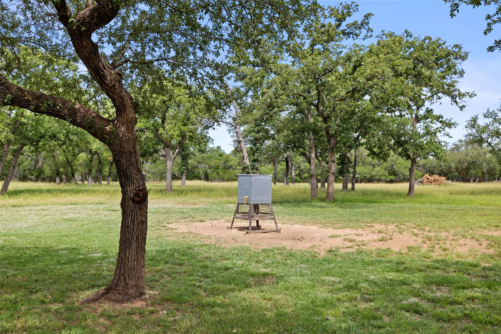 Image 36 of 36 For 1241 Sandy Oaks Ranch Rd