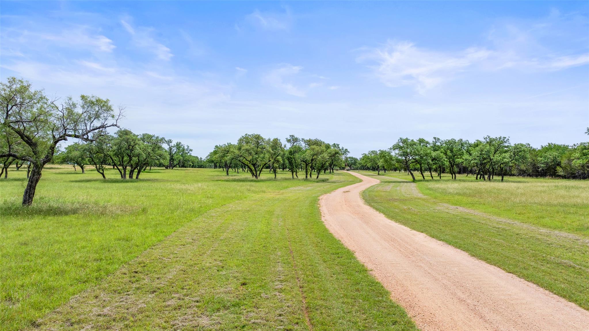 Image 4 of 36 For 1241 Sandy Oaks Ranch Rd