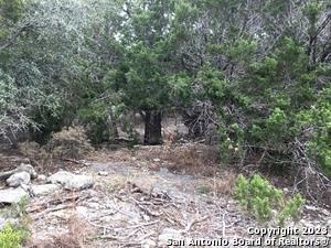 Details for 0 Fawn River Dr, Spring Branch, TX 78070