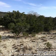 Image 2 of 11 For 0 Fawn River Dr