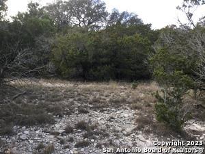 Image 5 of 11 For 0 Fawn River Dr