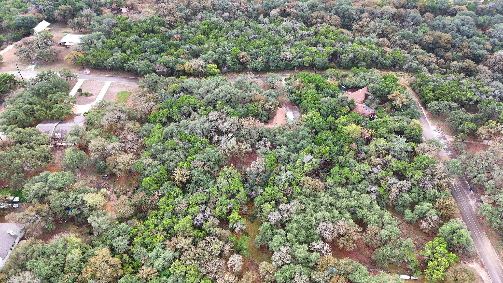 Image 34 of 40 For 771 Mary Preiss Dr