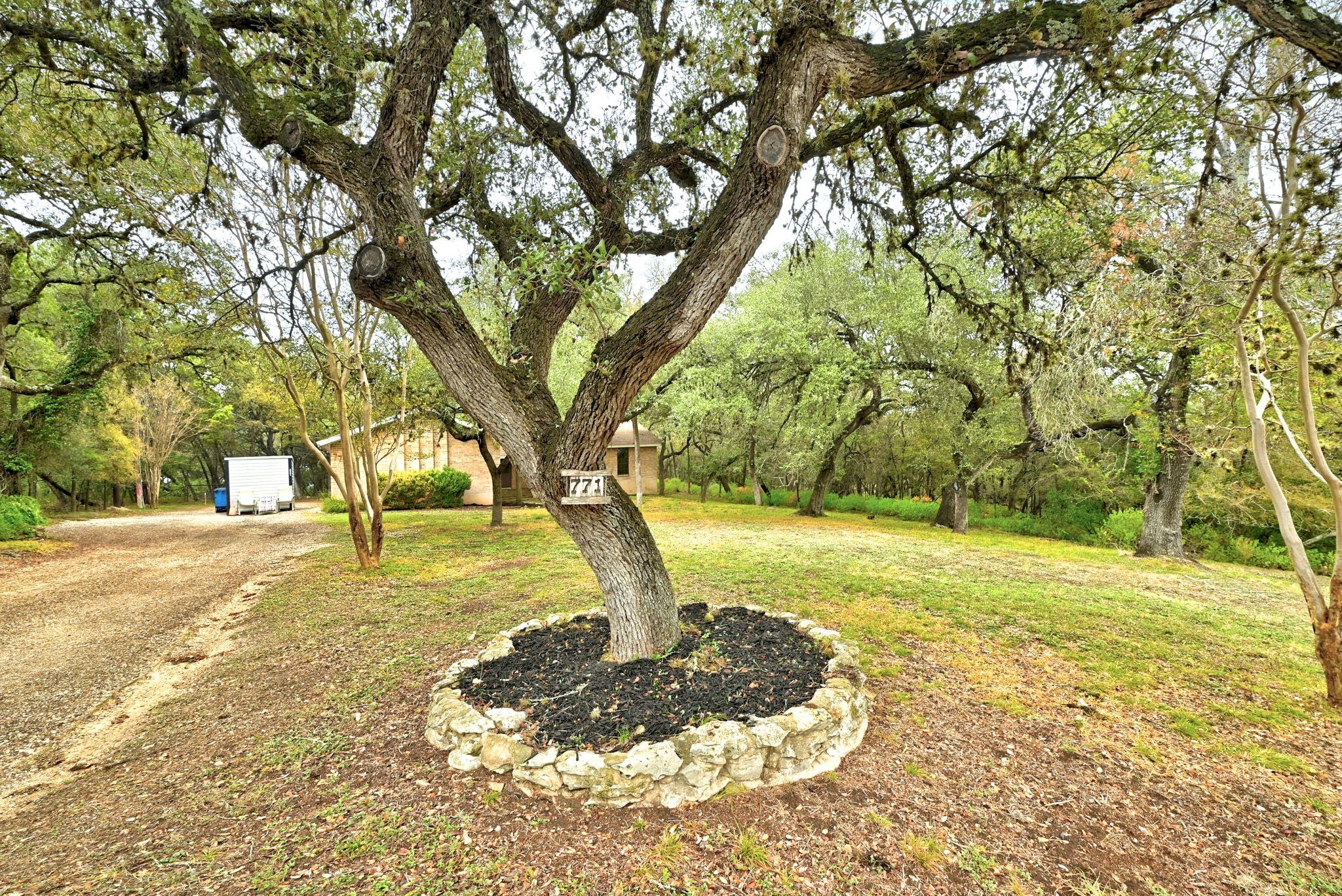 Image 4 of 40 For 771 Mary Preiss Dr