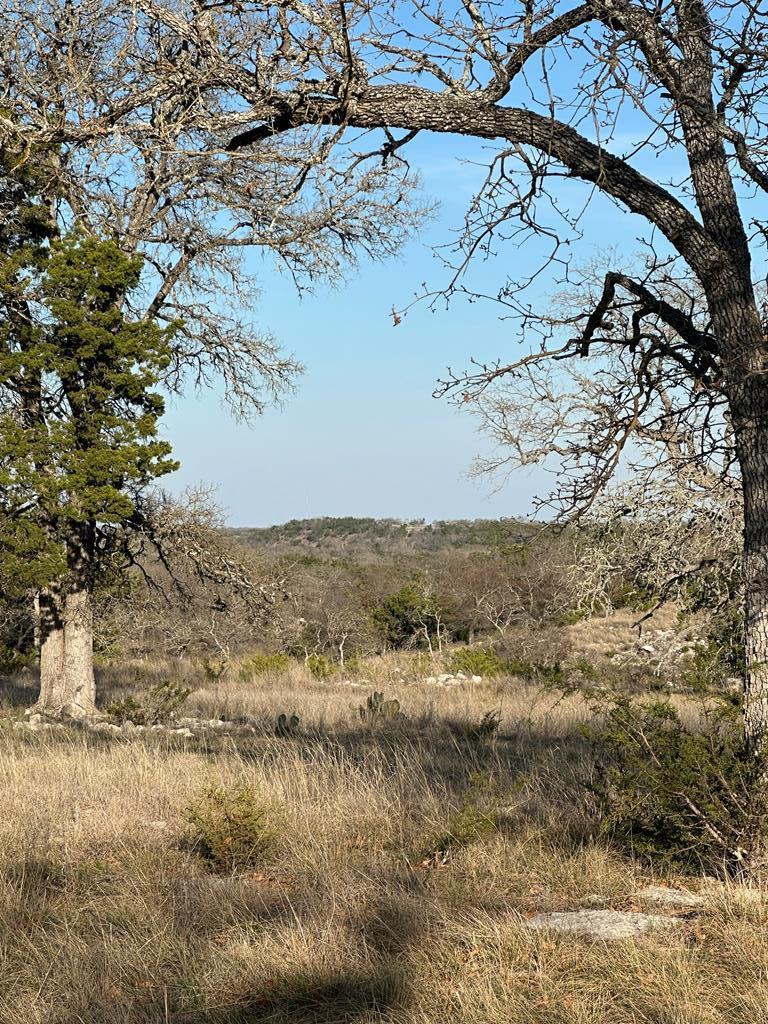 Details for Lot 59 Cliff View, Harper, TX 78631