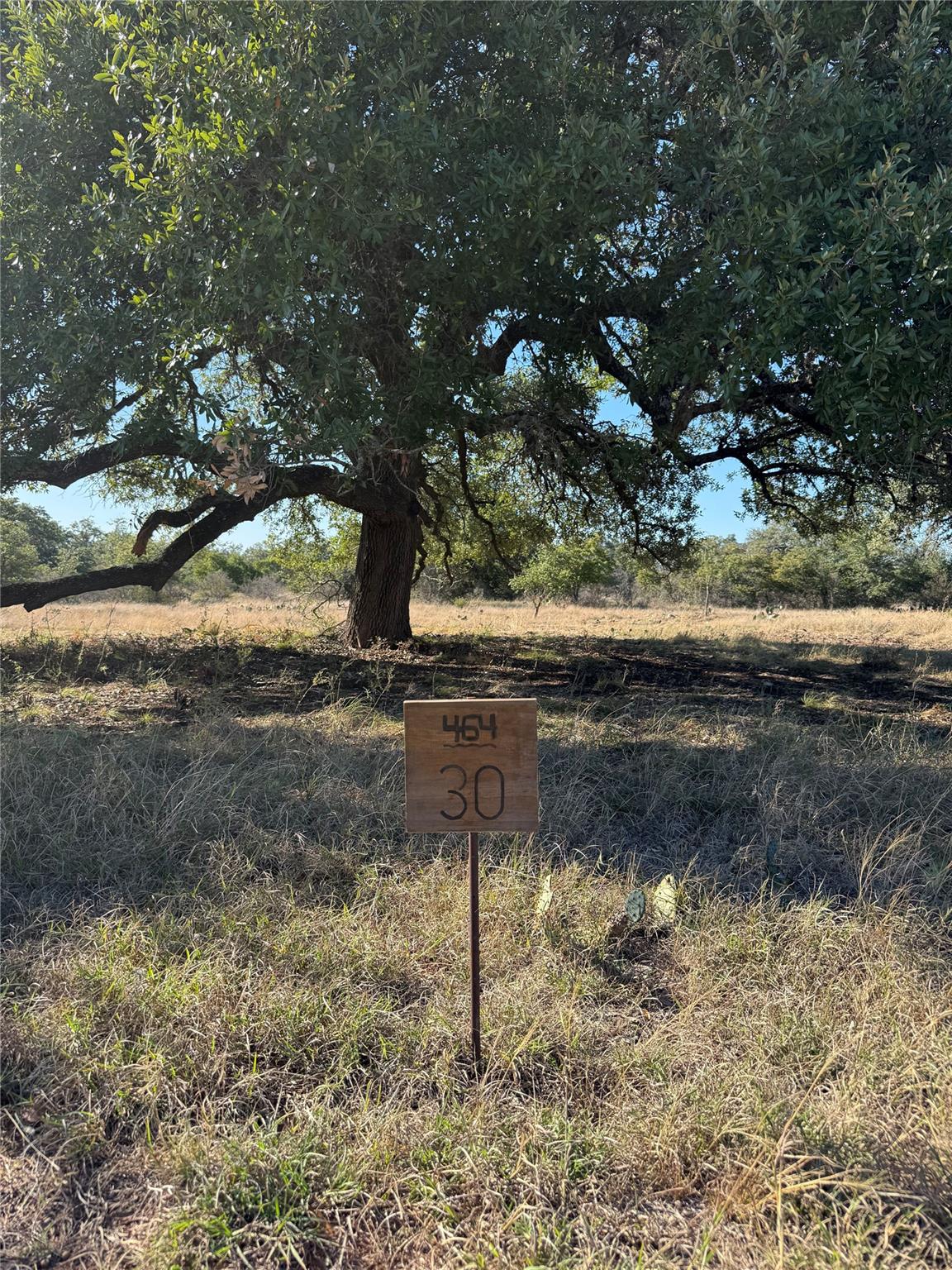 Details for 30 Coastal Loop, Johnson City, TX 78636