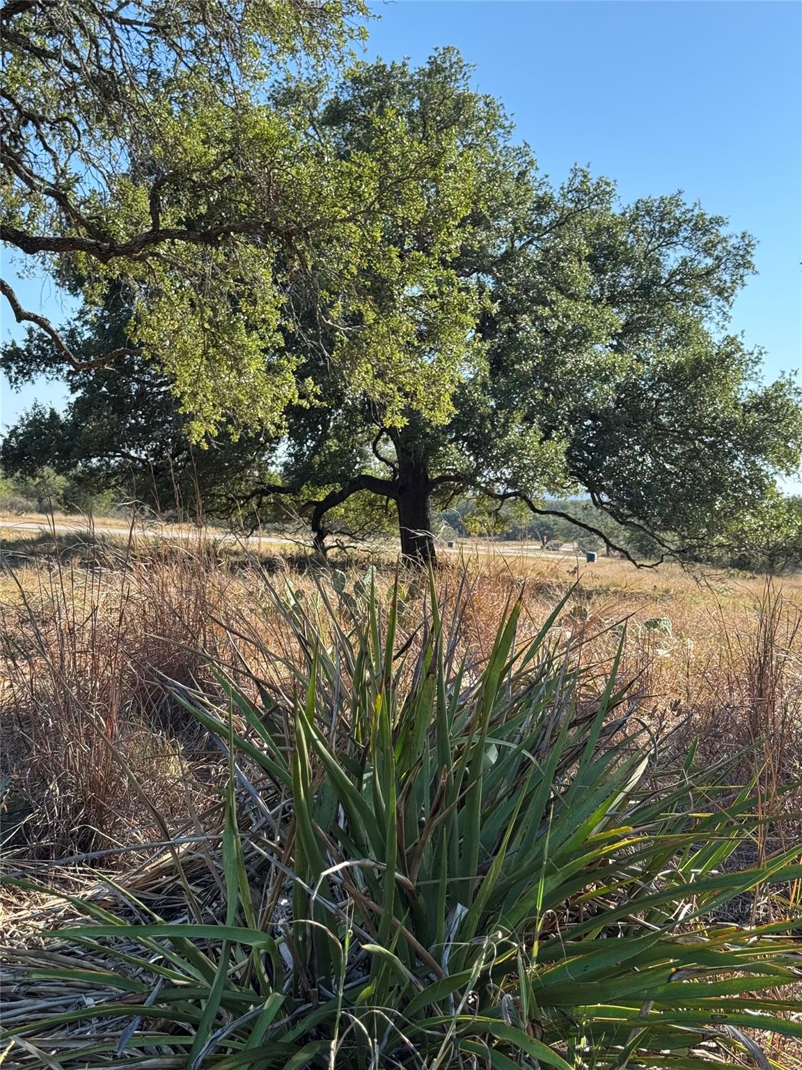Image 13 of 19 For 30 Coastal Loop