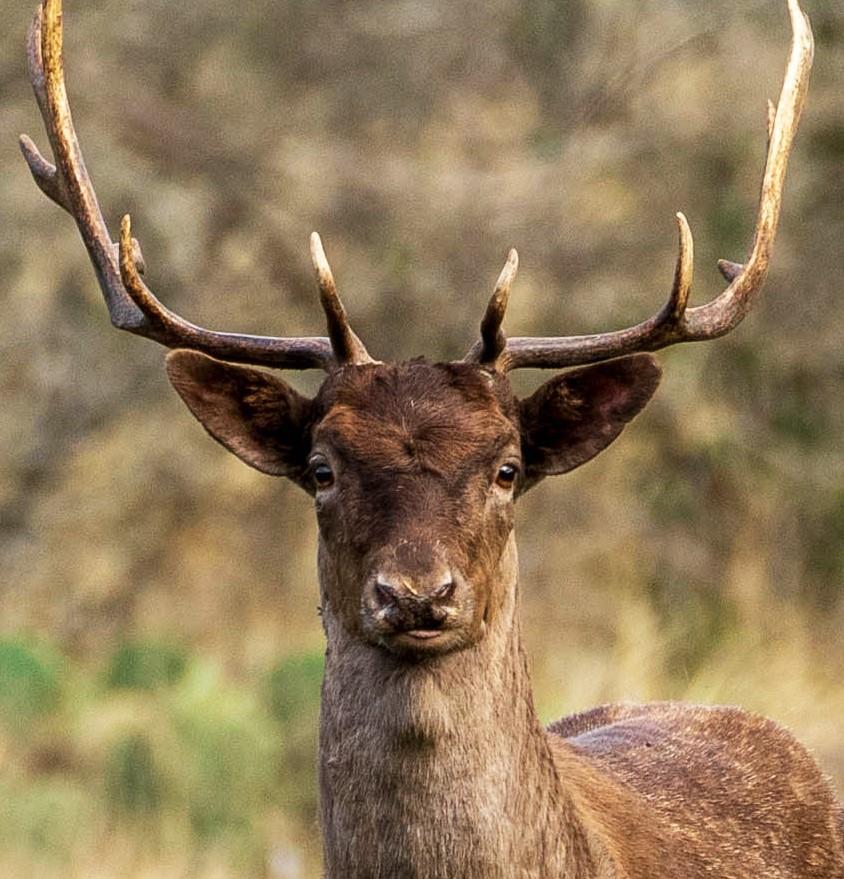 Image 17 of 19 For 30 Coastal Loop